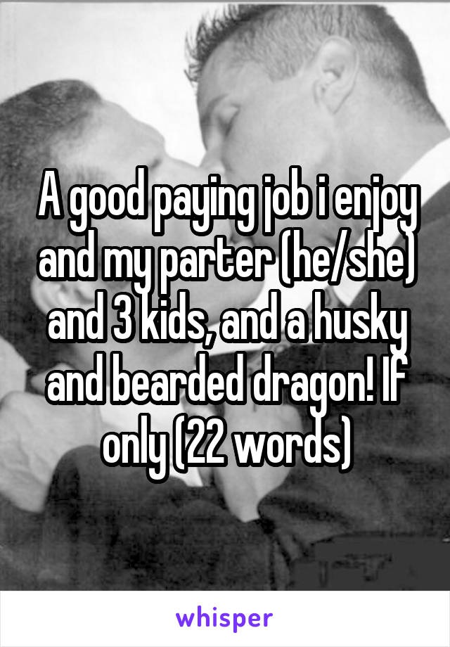 A good paying job i enjoy and my parter (he/she) and 3 kids, and a husky and bearded dragon! If only (22 words)