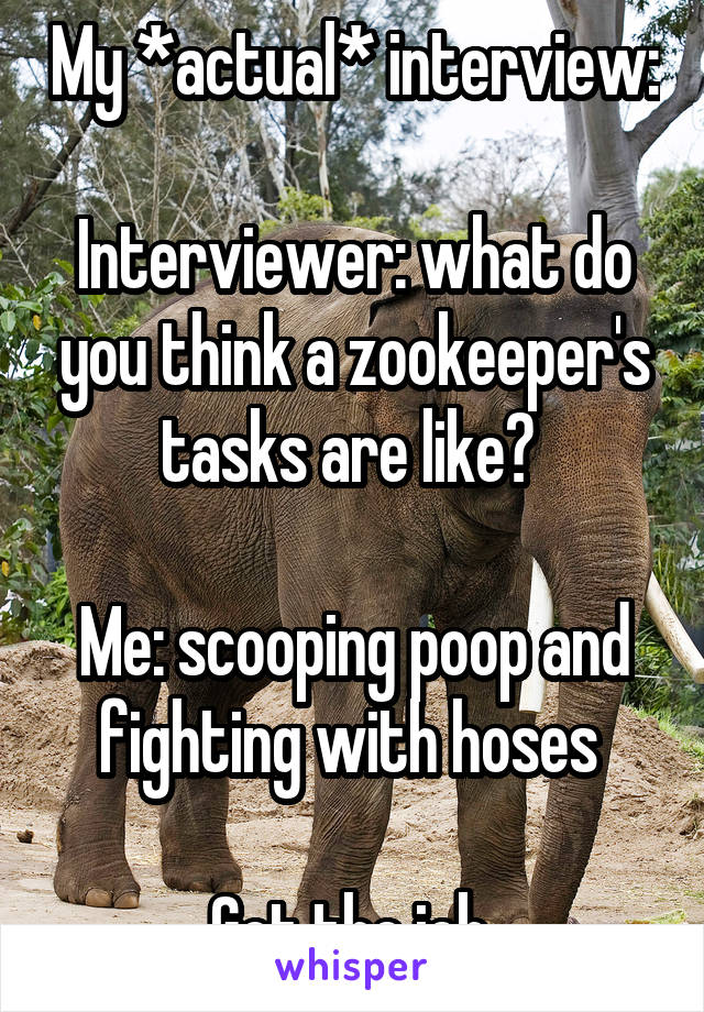 My *actual* interview: 
Interviewer: what do you think a zookeeper's tasks are like? 

Me: scooping poop and fighting with hoses 

Got the job 