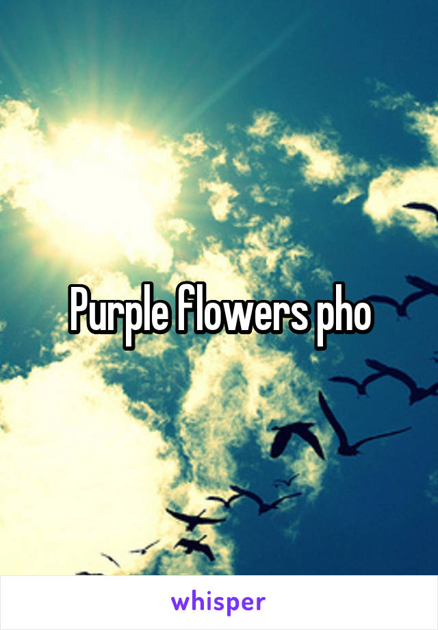 Purple flowers pho