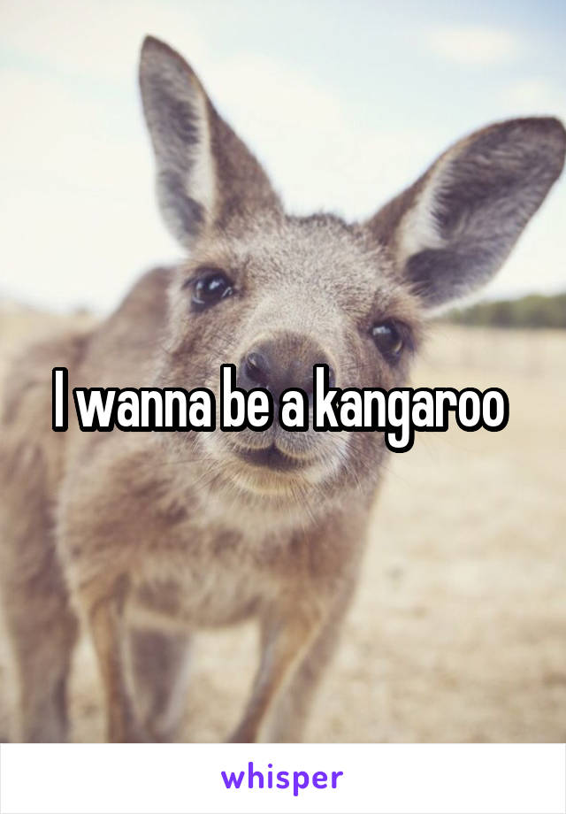 I wanna be a kangaroo 