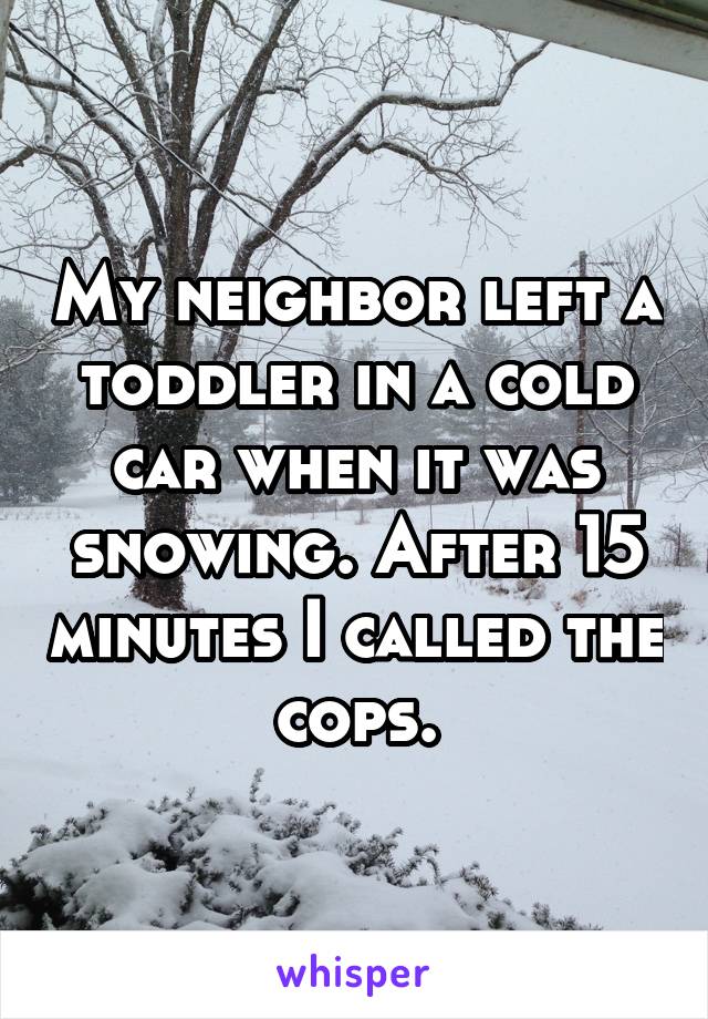 My neighbor left a toddler in a cold car when it was snowing. After 15 minutes I called the cops.