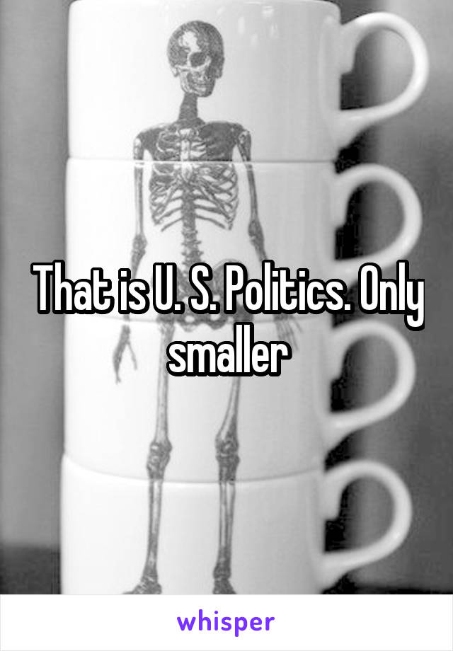 That is U. S. Politics. Only smaller