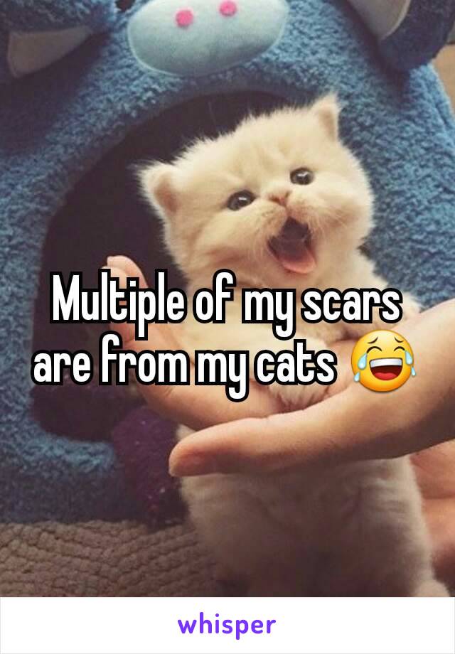 Multiple of my scars are from my cats 😂