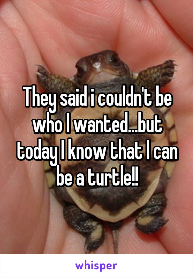 They said i couldn't be who I wanted...but today I know that I can be a turtle!!