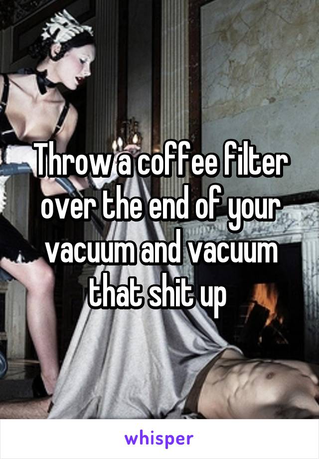 Throw a coffee filter over the end of your vacuum and vacuum that shit up 