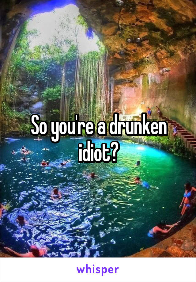 So you're a drunken idiot?