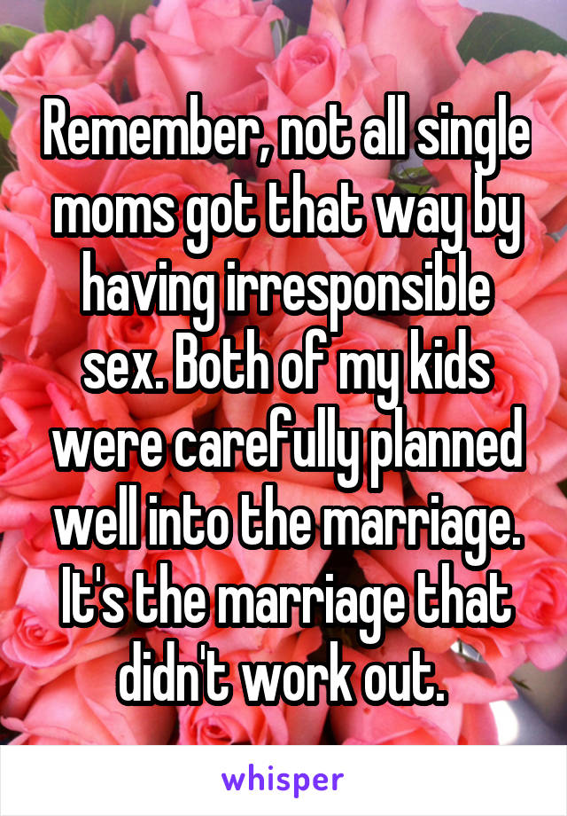 Remember, not all single moms got that way by having irresponsible sex. Both of my kids were carefully planned well into the marriage. It's the marriage that didn't work out. 