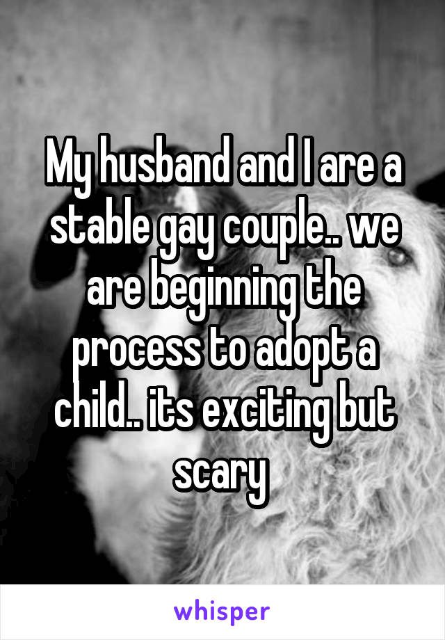 My husband and I are a stable gay couple.. we are beginning the process to adopt a child.. its exciting but scary 