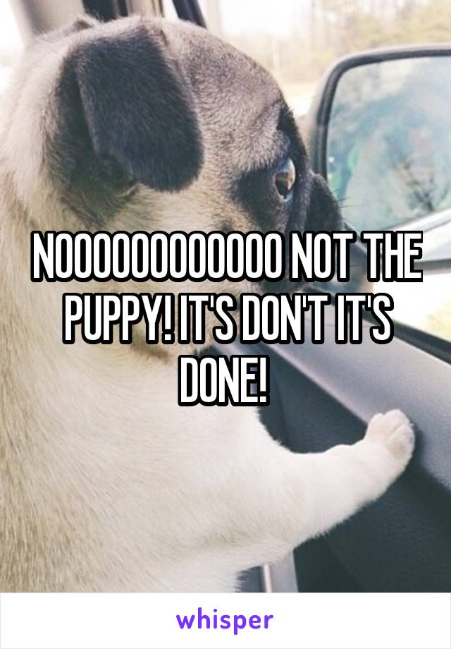 NOOOOOOOOOOOO NOT THE PUPPY! IT'S DON'T IT'S DONE! 