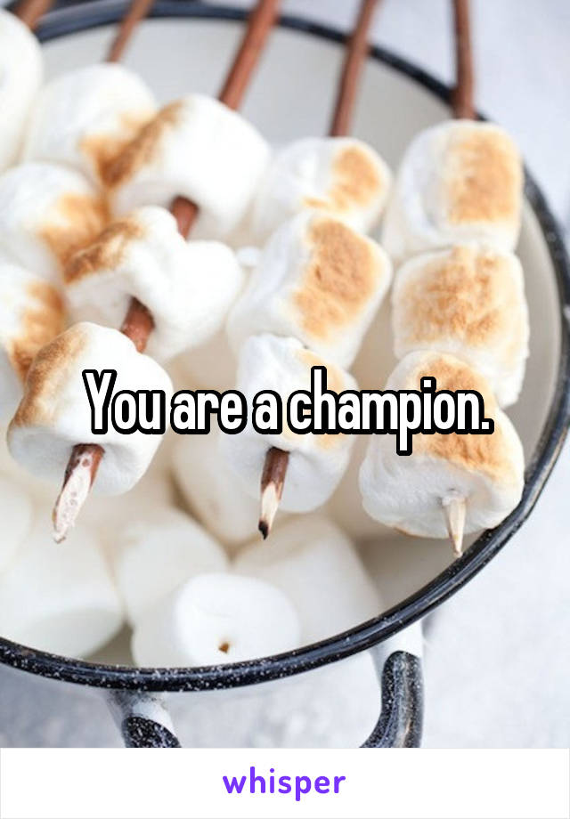 You are a champion.