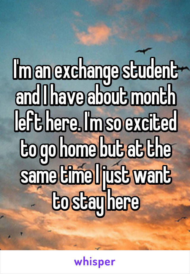 I'm an exchange student and I have about month left here. I'm so excited to go home but at the same time I just want to stay here