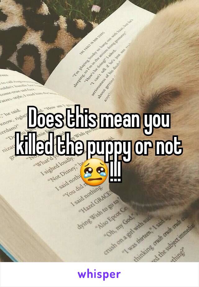 Does this mean you killed the puppy or not 😢!!!