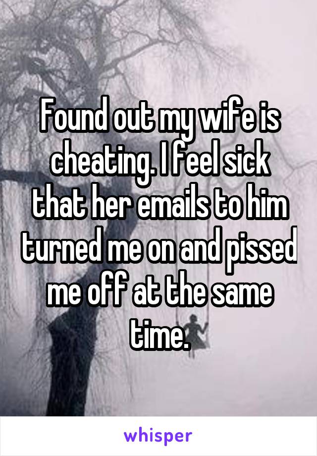Found out my wife is cheating. I feel sick that her emails to him turned me on and pissed me off at the same time.