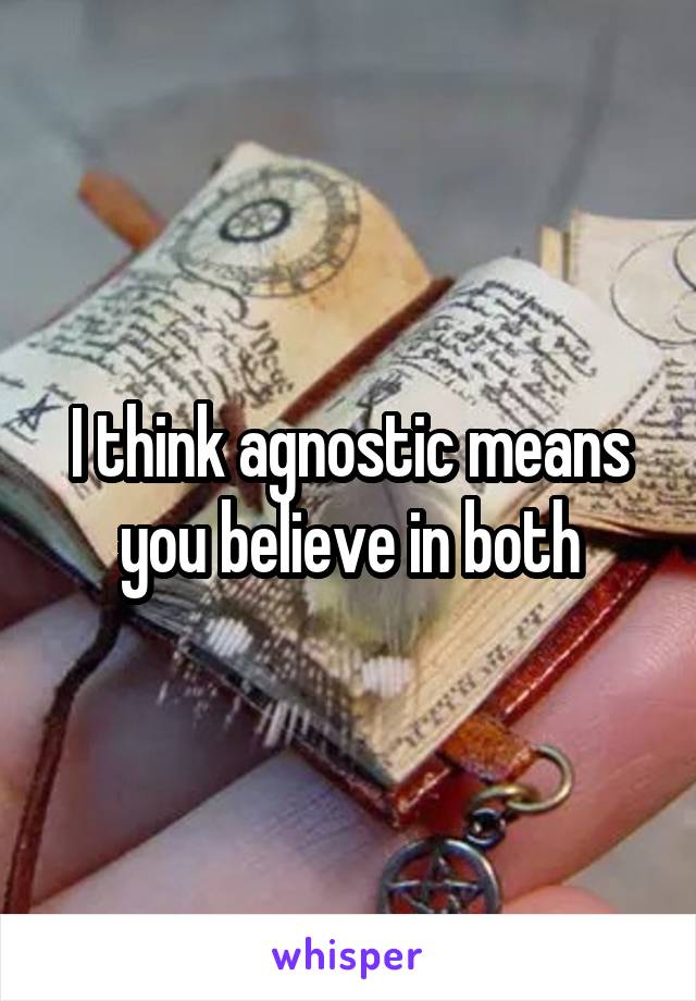 I think agnostic means you believe in both