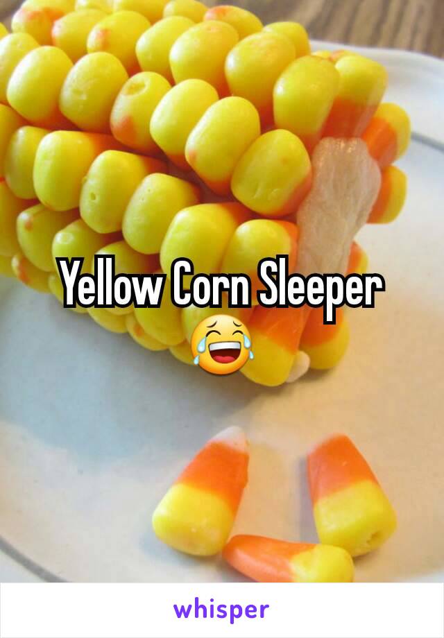 Yellow Corn Sleeper
😂