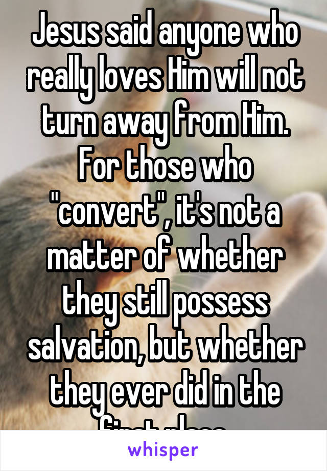 Jesus said anyone who really loves Him will not turn away from Him. For those who "convert", it's not a matter of whether they still possess salvation, but whether they ever did in the first place.