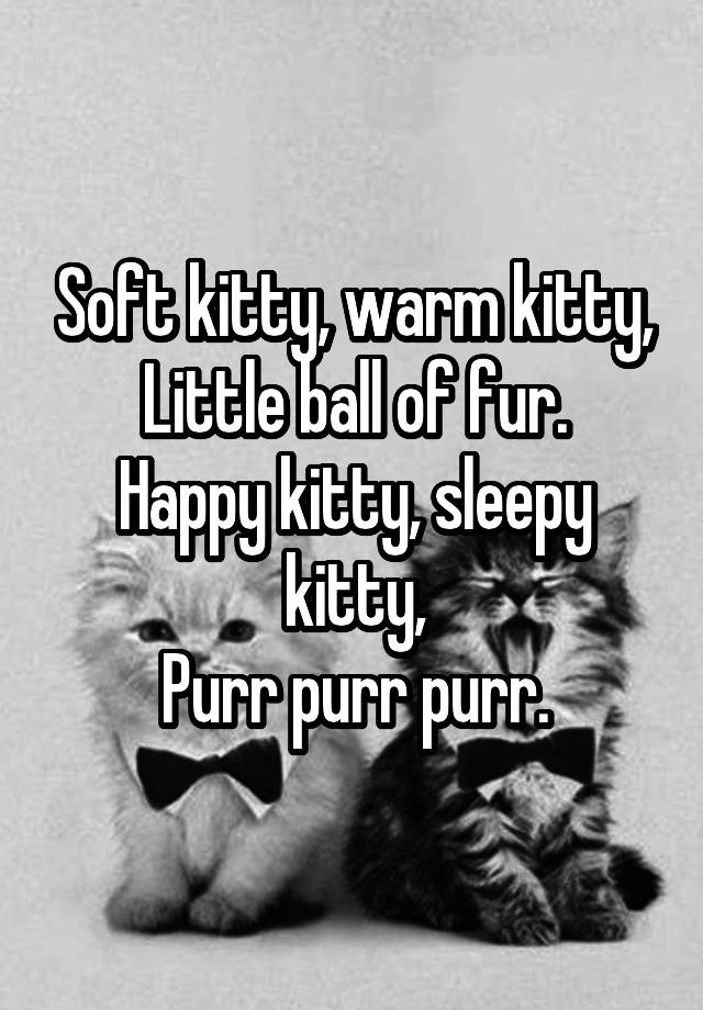 Soft Kitty Warm Kitty Little Ball Of Fur Happy Kitty Sleepy Kitty Purr Purr Purr 0992