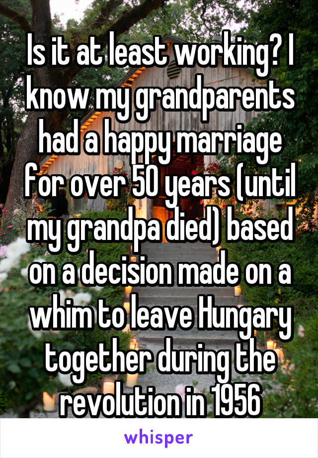 Is it at least working? I know my grandparents had a happy marriage for over 50 years (until my grandpa died) based on a decision made on a whim to leave Hungary together during the revolution in 1956