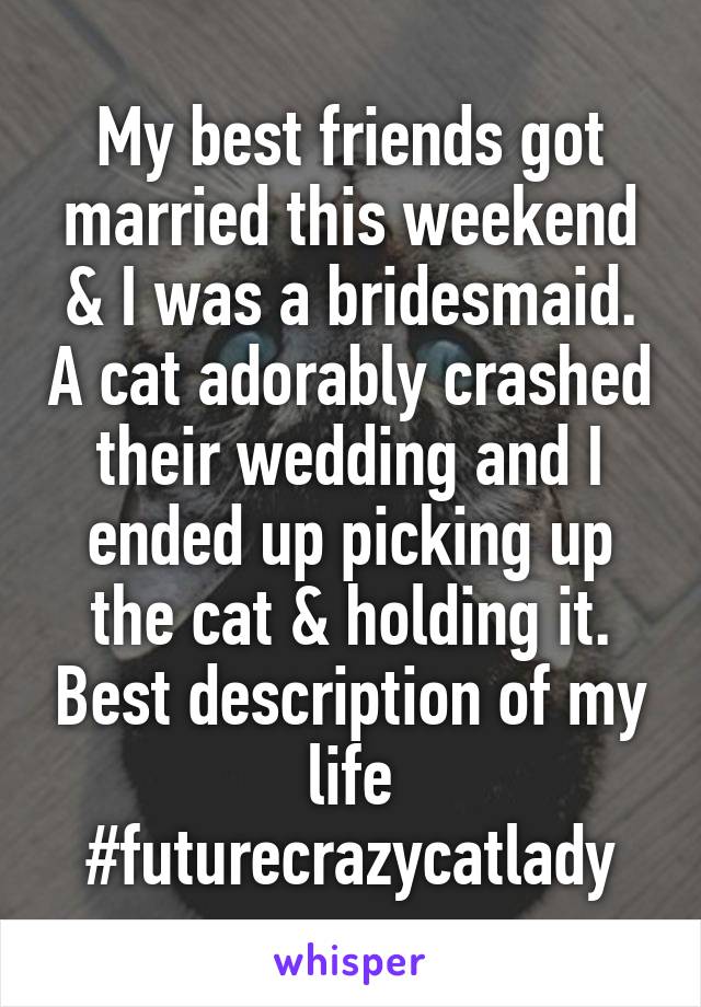 My best friends got married this weekend & I was a bridesmaid. A cat adorably crashed their wedding and I ended up picking up the cat & holding it. Best description of my life #futurecrazycatlady