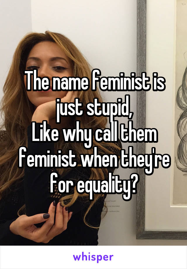 The name feminist is just stupid,
Like why call them feminist when they're for equality?