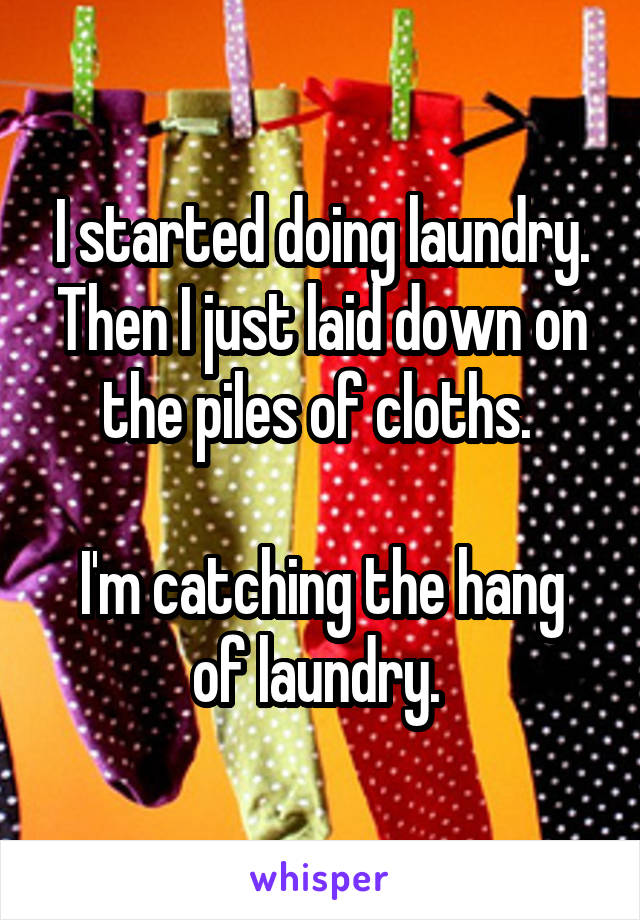 I started doing laundry. Then I just laid down on the piles of cloths. 

I'm catching the hang of laundry. 
