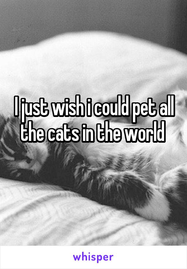 I just wish i could pet all the cats in the world 
