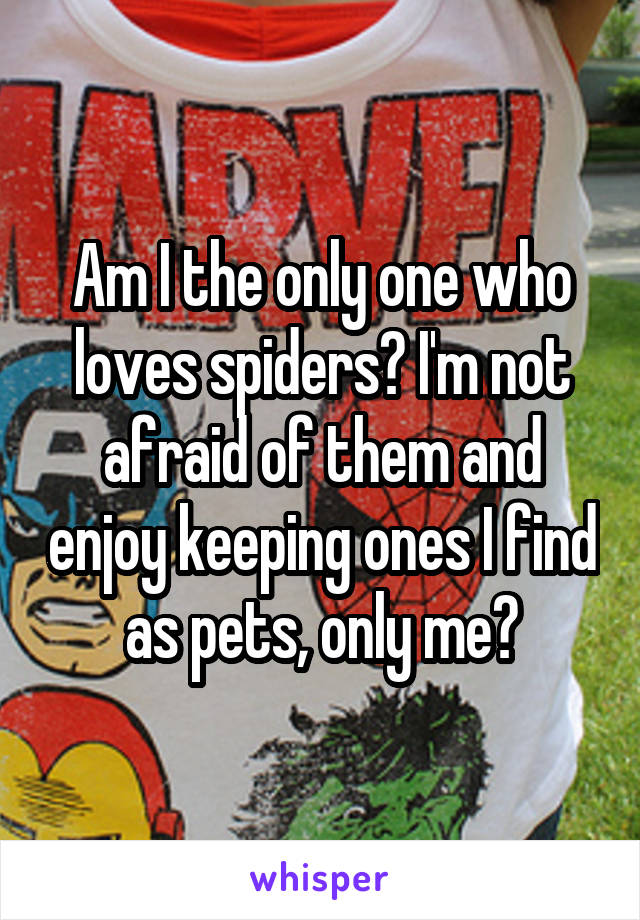 Am I the only one who loves spiders? I'm not afraid of them and enjoy keeping ones I find as pets, only me?