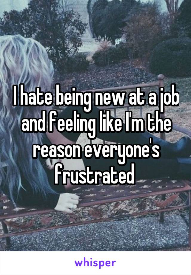 I hate being new at a job and feeling like I'm the reason everyone's frustrated 