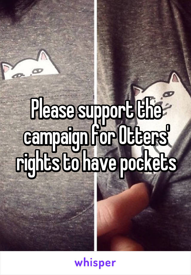 Please support the campaign for Otters' rights to have pockets