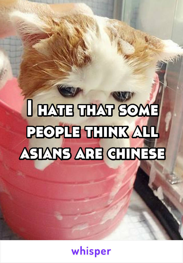 I hate that some people think all asians are chinese