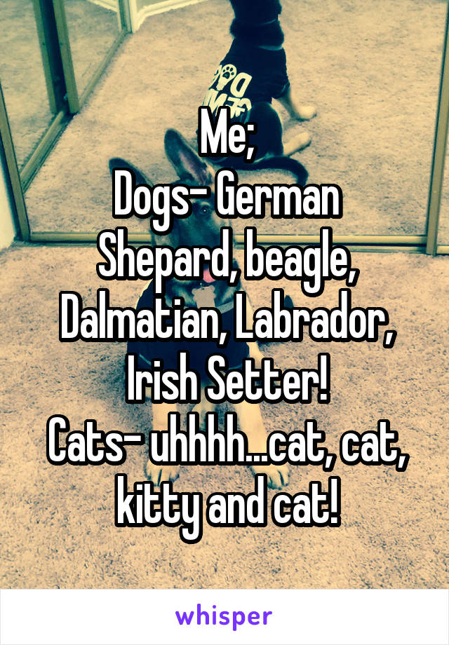 Me;
Dogs- German Shepard, beagle, Dalmatian, Labrador, Irish Setter!
Cats- uhhhh...cat, cat, kitty and cat!