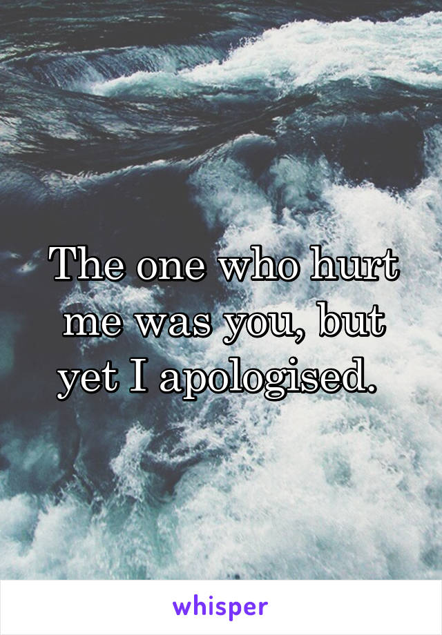 The one who hurt me was you, but yet I apologised. 