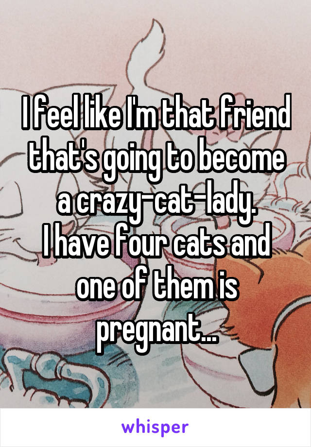 I feel like I'm that friend that's going to become a crazy-cat-lady.
I have four cats and one of them is pregnant...