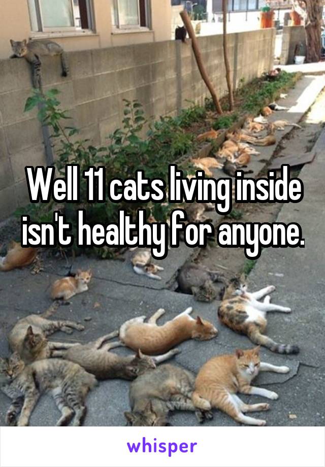 Well 11 cats living inside isn't healthy for anyone. 