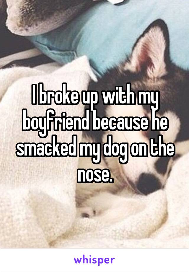 I broke up with my boyfriend because he smacked my dog on the nose.