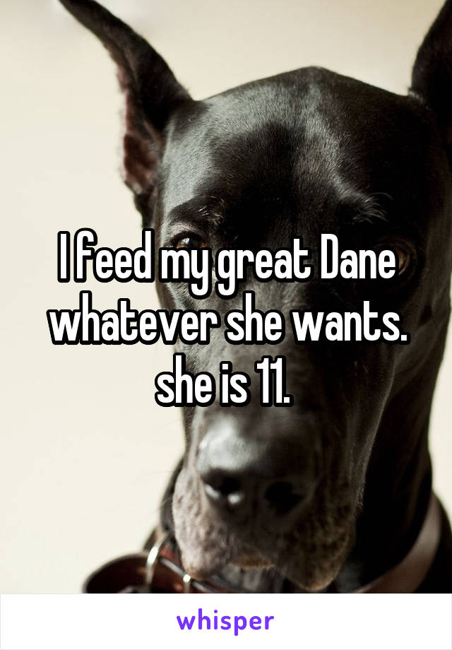 I feed my great Dane whatever she wants. she is 11. 