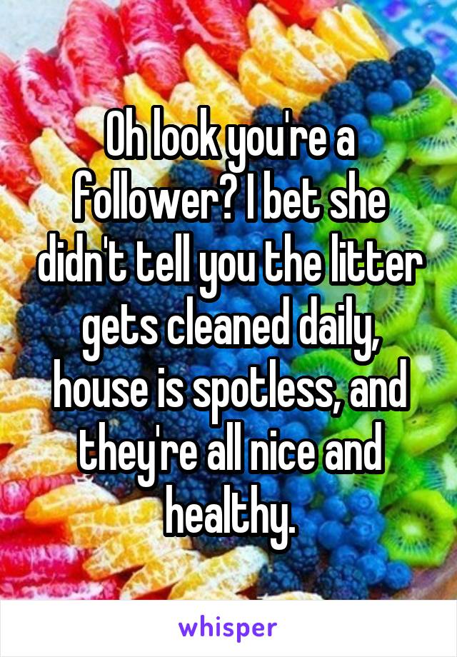 Oh look you're a follower? I bet she didn't tell you the litter gets cleaned daily, house is spotless, and they're all nice and healthy.