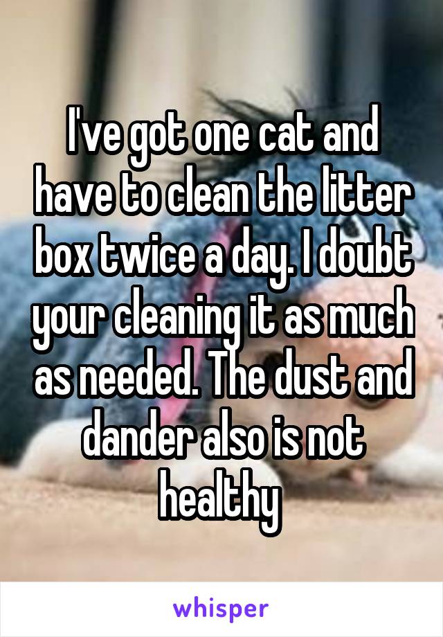 I've got one cat and have to clean the litter box twice a day. I doubt your cleaning it as much as needed. The dust and dander also is not healthy 