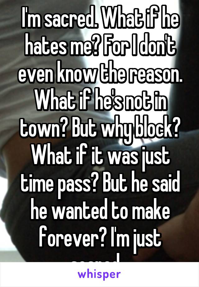 I'm sacred. What if he hates me? For I don't even know the reason. What if he's not in town? But why block? What if it was just time pass? But he said he wanted to make forever? I'm just scared.  