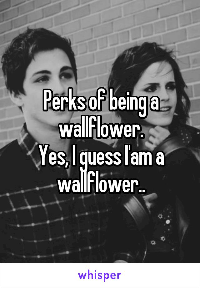 Perks of being a wallflower.
Yes, I guess I'am a wallflower..