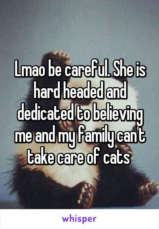 Lmao be careful. She is hard headed and dedicated to believing me and my family can't take care of cats 