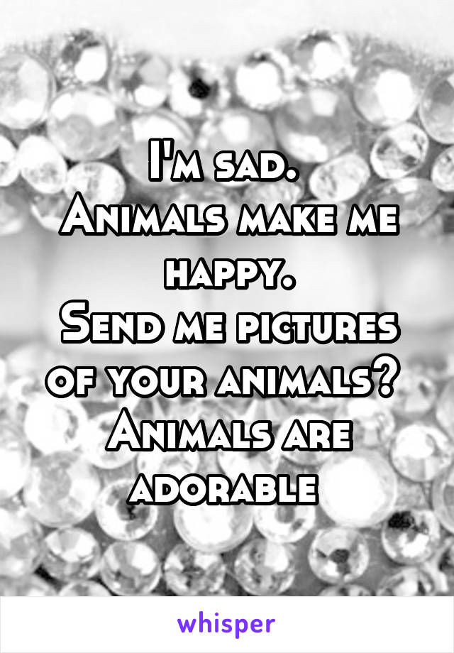 I'm sad. 
Animals make me happy.
Send me pictures of your animals? 
Animals are adorable 