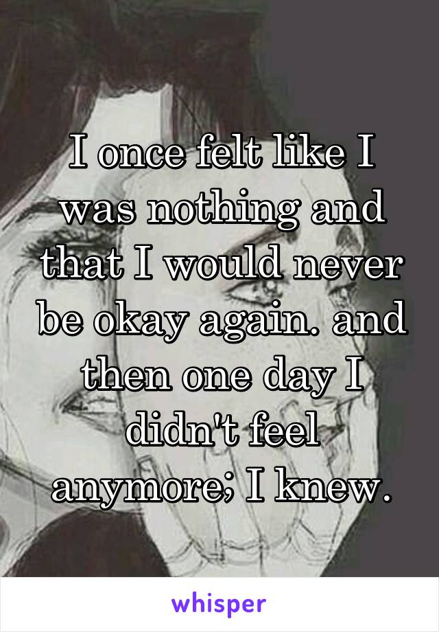 I once felt like I was nothing and that I would never be okay again. and then one day I didn't feel anymore; I knew.