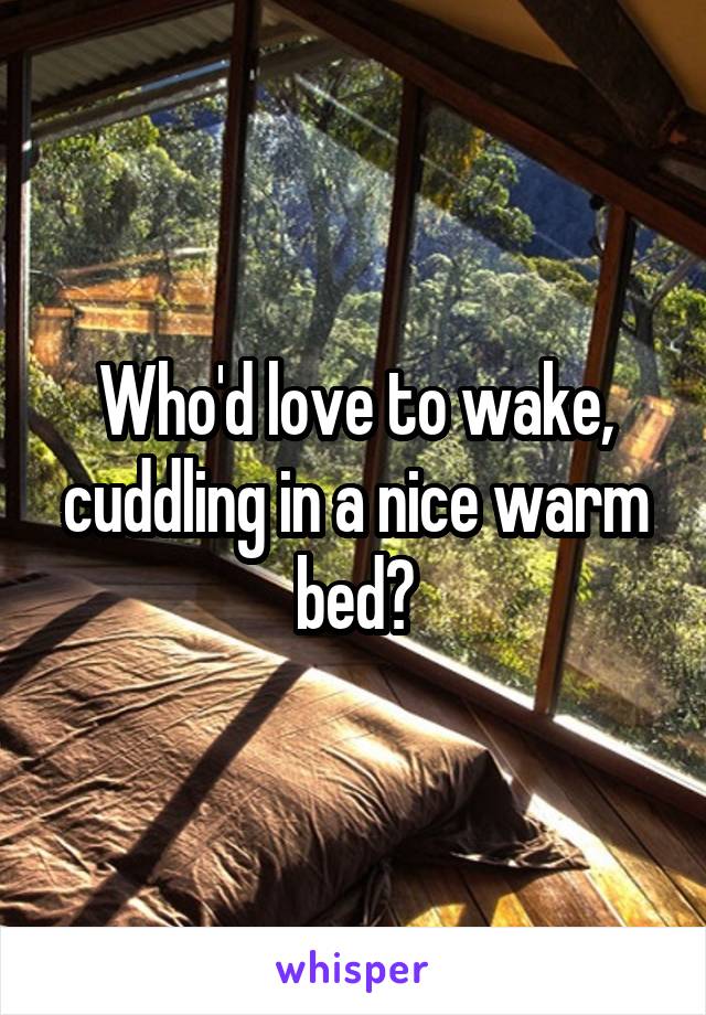 Who'd love to wake, cuddling in a nice warm bed?