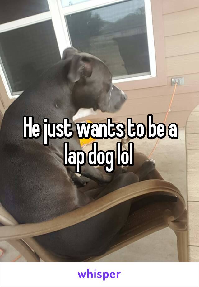 He just wants to be a lap dog lol 