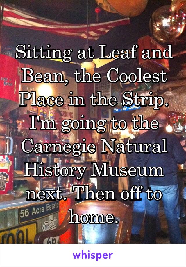 Sitting at Leaf and Bean, the Coolest Place in the Strip. I'm going to the Carnegie Natural History Museum next. Then off to home.