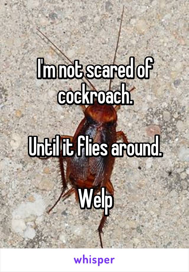 I'm not scared of cockroach.

Until it flies around.

Welp