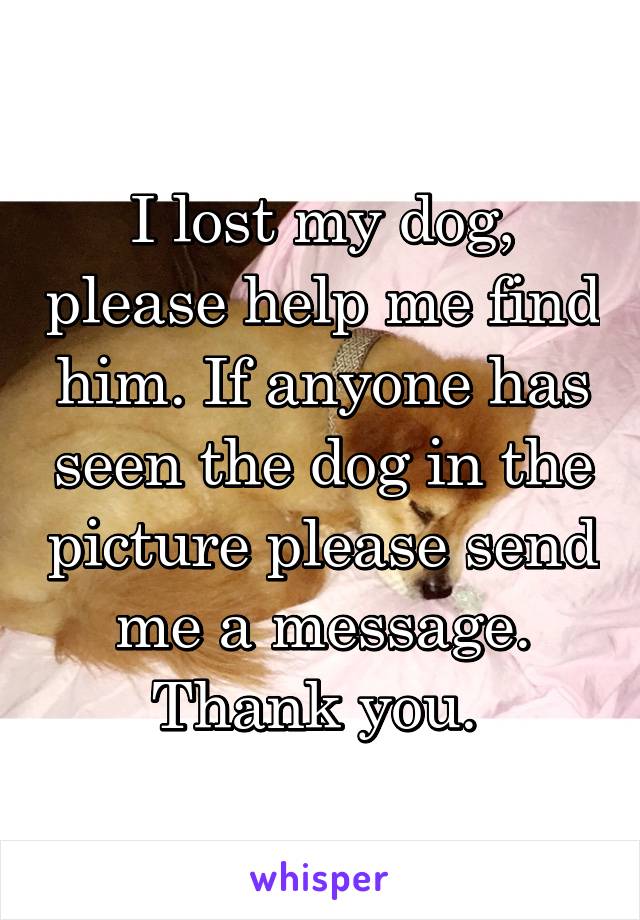 I lost my dog, please help me find him. If anyone has seen the dog in the picture please send me a message. Thank you. 