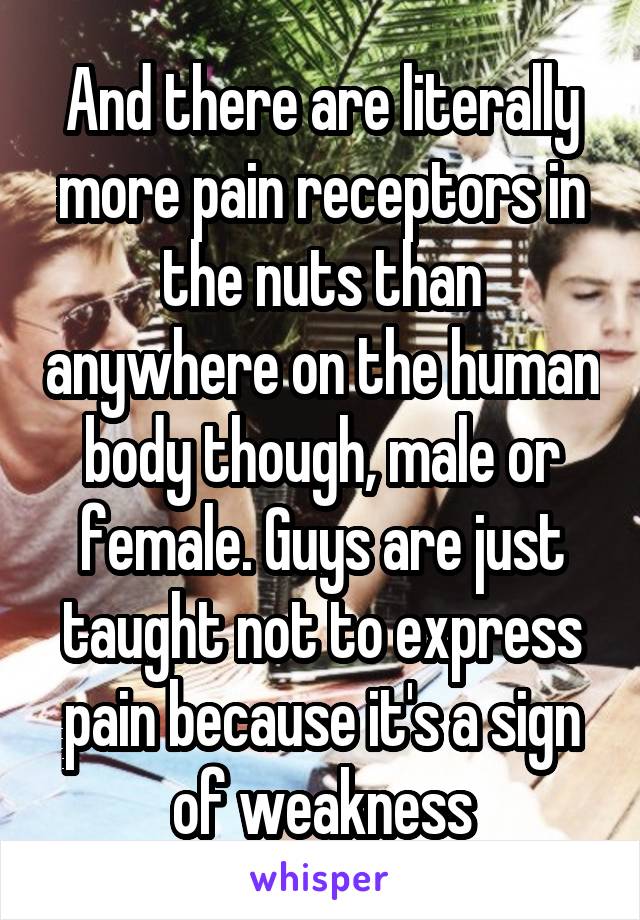 And there are literally more pain receptors in the nuts than anywhere on the human body though, male or female. Guys are just taught not to express pain because it's a sign of weakness