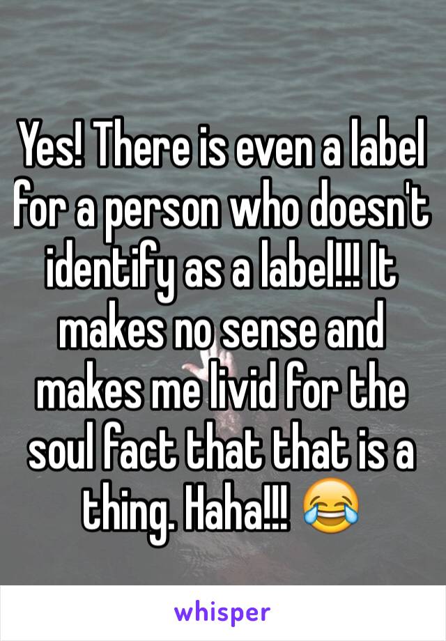 Yes! There is even a label for a person who doesn't identify as a label!!! It makes no sense and makes me livid for the soul fact that that is a thing. Haha!!! 😂